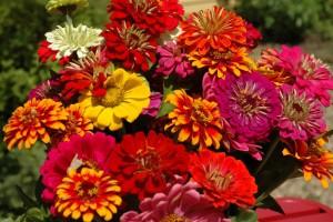 Photo-Aug-24-11-12-03-AM-web-300×200