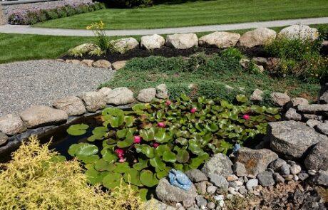 gloucester-garden-pond-design