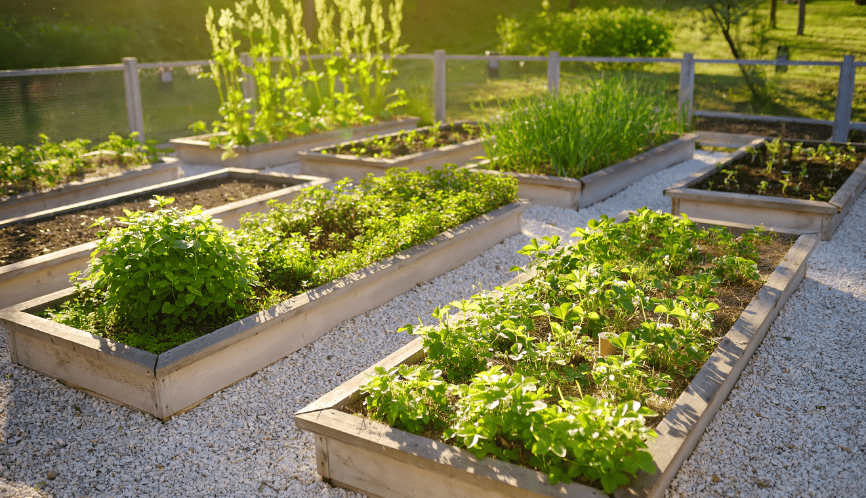 Edible Gardens - 2024 Garden trends that are making headlines - The Patio Company