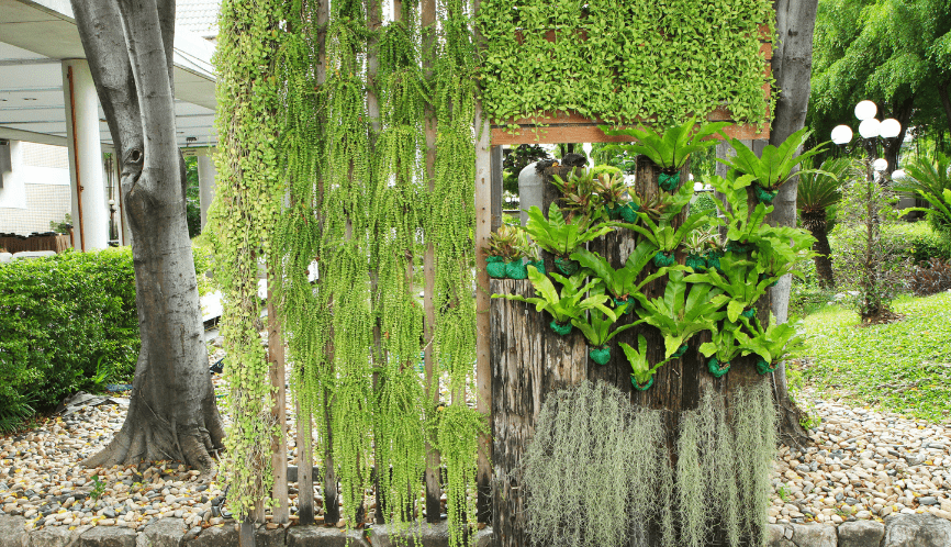 Vertical gardens - 2024 Garden trends that are making headlines - The Patio Company