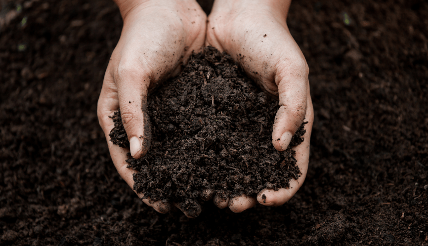 Prepare the Soil For Planting!
