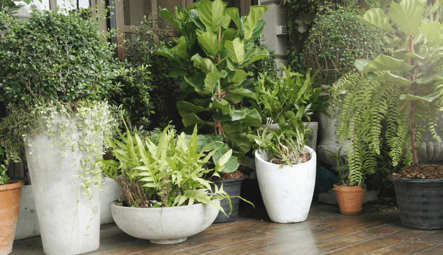 Think About New Planters…
